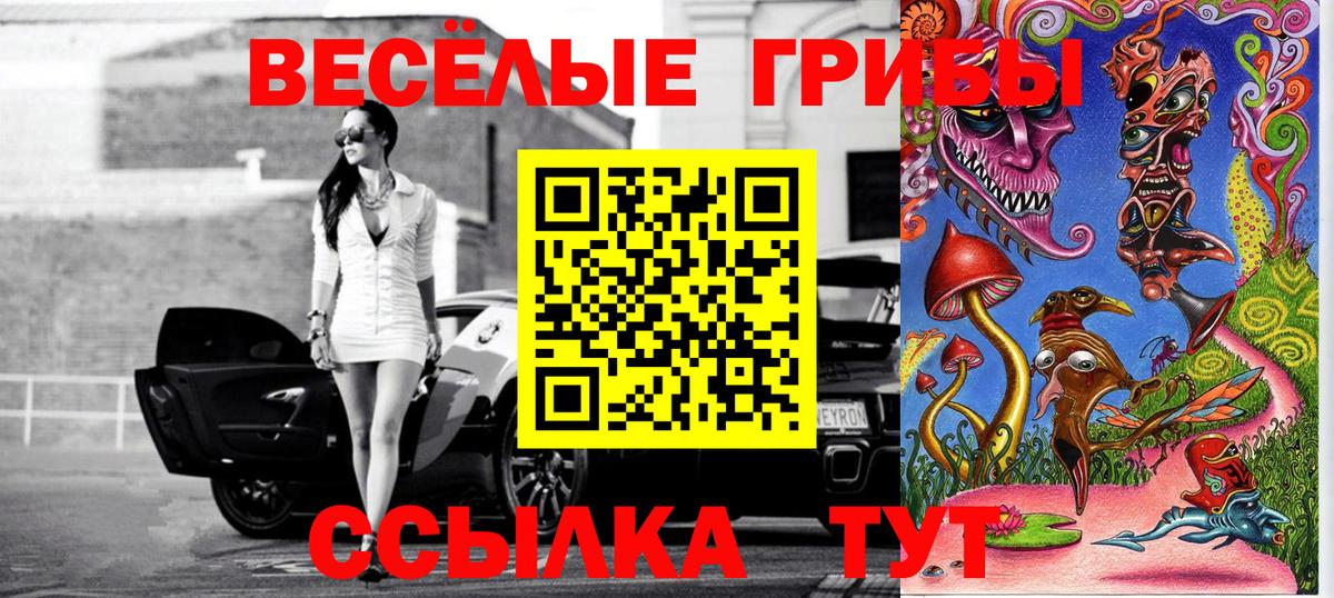 Грозный  сколько стоит  Вход с VPN  Галлюциногенные грибы мицелий 