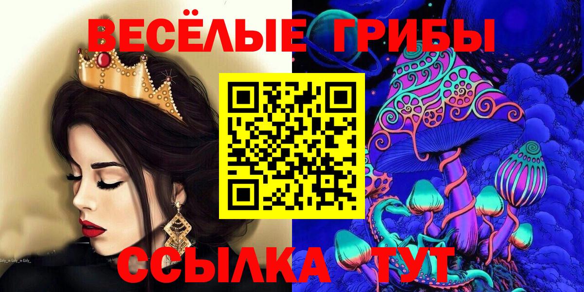 Псилоцибиновые грибы прущие грибы Грозный